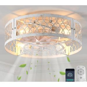 Garwarm Caged Ceiling Fan with Light,20" Flush Mount Ceiling Fan with Remote,Bladeless Low Profile Fandelier Small Ceiling Fans with Lights for Bedroom,Dining Room