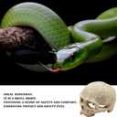 Snake Hideout, Reptile Aquarium Skull Decor, Resin Skeleton Head Fish Hide, Tank Terrarium Accessories, Reptile Hides and Caves for Fish Bearded Dragon Ball Python Leopard Gecko 4.7 × 3.5 × 3.7 Inch