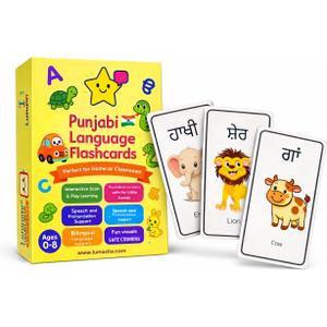 Punjabi Language Flashcards for Kids | Fun Way to Learn Punjabi Alphabet & Words