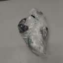 Sorry Can't Horses Bye Funny Horse TShirt S