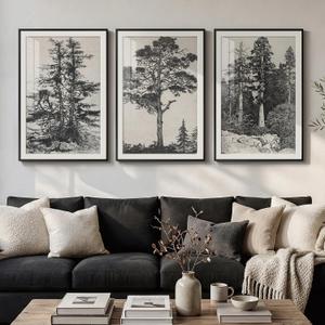 Large Framed Vintage 3 Piece Wall Art for Living Room, Black and White Tree Artwork for Walls, Modern Classic Rustic Sketch Forest Botanical Canvas Painting Prints for Office Wall Decor 24x36 In, 24" W x 36" H x 3Pcs