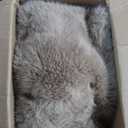 EverGrace Ultra Soft Luxury Fluffy Faux Rabbit Fur Throw Blanket, Thick Warm Bubble Throw for Bed, Cozy Plush Reversible Blankets for Couch, Chair, Sofa, Taupe, 60"x80" Inches