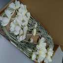 Floroom 5 Pcs Artificial Flowers Ivory Fake Cosmos Faux Silk Flower for Indoor Home Decor, Party Arrangements, Wedding Bouquets, Floral Table Centerpieces, and Decorations