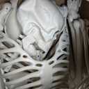 2-Pack Life Size Easy to Pose 5.4FT Skeleton Halloween Decoration