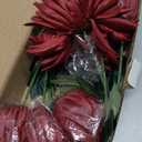 5PCS Burgundy Dahlia Artificial Flowers 6" Large Faux Dahlia Realistic Silk Flowers 20in Long Stem Fake Dahlia Bouquets for Wedding Bride Centerpieces for Table Home Party Floral Decor (Burgundy)