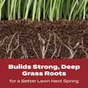 Scotts Turf Builder WinterGuard Fall Lawn Fertilizer for All Grass Types, 12,000 sq. ft., 32.3 lbs. (EXP 05/03/31)