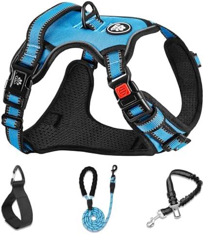 NESTROAD No Pull Dog Harness,Adjustable Oxford Dog Vest Harness with Leash,Reflective No-Choke Pet Harness with Easy Control Soft Handle for Small Dogs (X-Small,Blue)