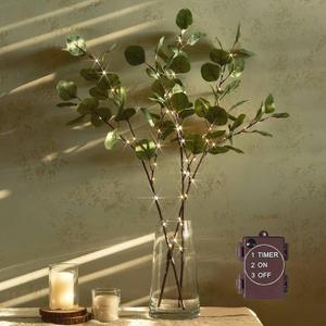 Hairui Lighted Eucalyptus Branches with Timer 24IN 36 LED Battery Operated for Wedding Christmas Party Home Spring Decor (Vase not Included)