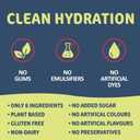 2 x Hydration Powder Made with Apple Juice Powder, Magnesium Citrate, Vitamin D Family Friendly Electrolyte Powder Drink Mix for Men, Women, and Children, by Juice Doctor, 1.2lb (560g / 28 Servings)