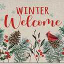 Winter Welcome Cardinal Birds Decorative Front Door Mat, Xmas Pine Cone Pine Needle Doormat Indoor Outdoor Non-Slip Floor Entryway Rug, Christmas Seasonal Home Kitchen Decoration 17x29 Inch