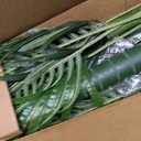 6ft Tall Triple Golden Cane Palm Artificial Tree Large Tropical Palm Tree UV Resistant Fake Plant in Pot for Indoor Outdoor Big House Living Room Outside Patio Office Home Decor 1Pack