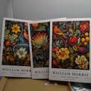 William Morris Canvas Wall Art Set of 3, Vintage Flower and Bird Animal Poster Print Wall Decor Aesthetic, Artist Canvas Painting Flower Wall Art for Bedroom Home Living Room Wall Decor - Framed (Canvas 16x24 in)