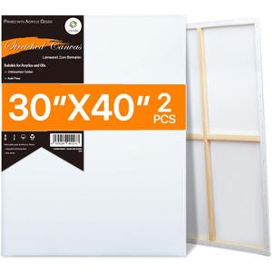 CONDA Large Stretched Canvas for Painting, 30x40 Inch 2 Pack Big Canvas, 100% Cotton, Primed Acid-Free, White Blank Stretched Canvas Boards Art Supplies for Acrylics, Oils Painting