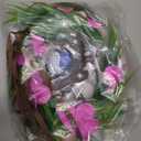 Hawaiian Flower Crown Accessories Set - 4 Pcs Pink Tropical Floral Headband Plumeria Hair Clips and Bohemia Shell Necklace for Women Girls Summer Beach Pool Hula Outfits Decorations Supplies