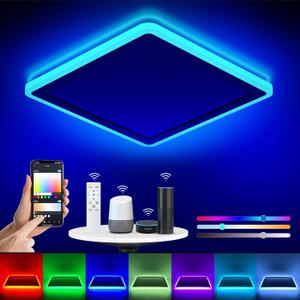 Annaror Smart LED Ceiling Light WiFi, RGB Flush Mount Light Fixture with Remote, Compatible with Alexa Google Home, 2400LM 3000K-6500K Wired Lights for Bedroom, Living Room 13 Inch White