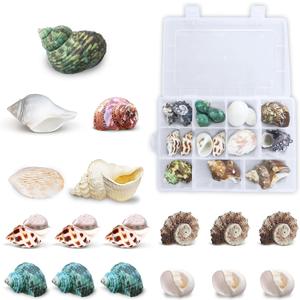 JOR Hermit Crab Shells, A Must for New Starter Habitats, Shelter for Crustaceans, Terrarium Decoration, Growth Turbo Seashells in Various Shapes and Sizes.