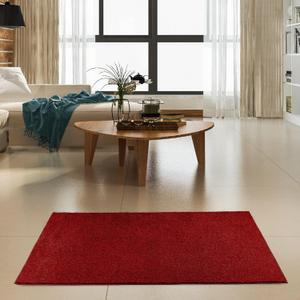 Furnish my Place Modern Plush Solid Color Rug - Red, 4' x 5', Pet and Kids Friendly Rug. Made in USA, Rectangle, Area Rugs Great for Kids, Pets, Event, Wedding