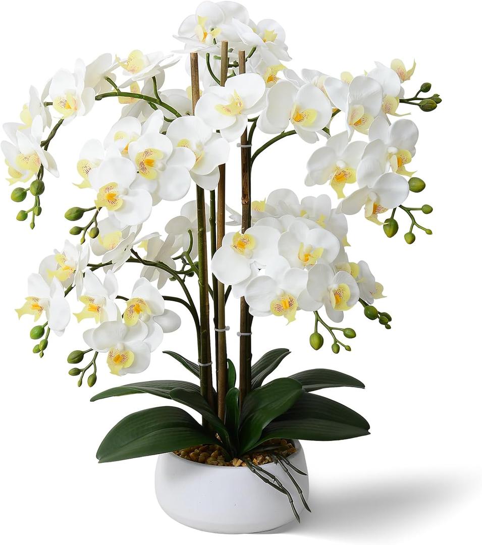Ziwon Artificial Orchid Flowers & Plants Potted in Ceramic Pot, White Faux Phalaenopsis Orchids for Table Centerpiece, Realistic Fake Flower Arrangement for Home Office Decor Indoor (Ww15)