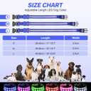 PcEoTllar Light Up Dog Collars, Led Dog Collar, Rechargeable, Night Walking, Waterproof, Glow in The Dark Dog Collars Light for Large Small Medium Dogs, Blue m (M(15 inch-19.7 inch))