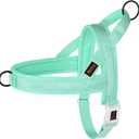 Didog No Pull Dog Harness with Breathable Mesh Padded, Quick Fit & Easy on Dog Vest Harness for Small Medium Large Dogs Training Walking(Green,M) (M:Chest 22-27", Fit 28-50 lbs)