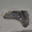 CVT JF010E RE0F09A RE0F09B Transmission Valve Body Compatible With Murano Maxima Quest