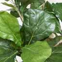 Artificial Fiddle Leaf Fig Tree 6FT - Large Fake Tree with White Planter, Tall Faux Ficus Lyrata Tree Floor Plants for Indoor Home Decor Office Living Room Housewarming Gift, 1Pack