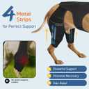 Dog Knee Brace for Acl Hind Leg, Dog Leg Braces for Back Leg, Adjustable Hip Support to Reduces Pain