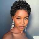 Short Curly Human Hair Wigs Brazilian Virgin Hair Wigs Afro Kinky Curly Wig for Black Women 150% Density Pixie Cut Curly Wigs