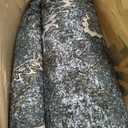 Istana Living Room Rug 10x14 - Dark Green 10 x 14 Area Rug - Foldable Machine Washable Area Rugs 10x14 - Stylish 10x14 Area Rugs Boho - Stain Resistant Washable Rug 10x14