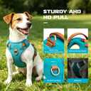 No-Pull Reflective Dog Harness with Handle Soft Padded Vest for Small Medium Large Dogs Heavy Duty Adjustable Anti-Choke Pet Harness with Front & Back Clip Harness for Walking, Training XS