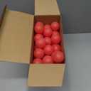 Hanaive 100 Pack Table Tennis Balls Multi Colored 40mm Plastic Balls Bulk Washable Small Game for Carnival Pool Games, Party Decoration Pet Toy