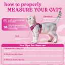 rabbitgoo Cat Harness and Leash for Walking, Escape Proof Soft Adjustable Vest Harnesses for Cats, Easy Control Breathable Reflective Strips Jacket, Rose Red, XS