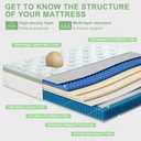 Queen Size Mattress 12 Inch, Medium Firm Memory Foam Hybrid Mattress with Individual Pocket Spring - Pressure Relief, Motion Isolation, Cool Sleep, 80" x 60"