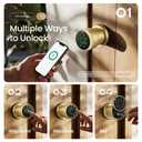 Leydebong Keyless Entry Fingerprint Door Knob, Smart Biometric Door Lock with Keypad Passcode Door Knob with Auto-Lock for Front Door, Bedroom, Gate & Office