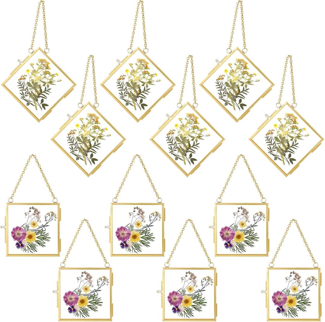 12 Pcs Hanging Clear Photo Frame Double Glass for Pressed Flower Floating Frame with Chain Display Gallery Artwork Horizontal Vertical Gold Metal Rectangle Wall Decor(3 x 3 Inch)