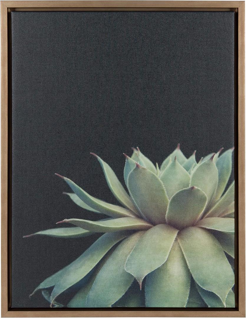 Kate and Laurel Sylvie Succulent Plant Framed Canvas Wall Art, Botanical Green with Black Background, 18x24 Gold, 18" x 24" 1.6"