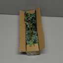 Mixed Eucalyptus Leaves Stems Bulk Artificial Eucalyptus Leaves Sprays Faux Oval Eucalyptus Leaves with White Seeds Stems for Floral Wreath Garland Bouquets Arrangement Wedding Greenery Decoration