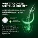 Dercos Selenium Sulfide Anti Dandruff Shampoo, Dry Scalp Treatment and Itch Relief. Prescription Strength Comparable to 2% Ketoconazole, for Mild to Severe Dandruff-Prone Hair & Flaky, Itchy Scalps (6.76 Fl Oz (Pack of 1))