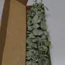 18pcs Eucalyptus Stems Artificial Eucalyptus Leaves Stems Artificial Fake Flowers for Home Office Flowers Bouquet Centerpiece Wedding Decoration Christmas Decor 2025