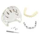 Dental Implant Model Transparent Upper Jaw with 6 Implants and Removable Screws for Overdenture Restoration Dental School Teaching Lab Demo and Patient Education