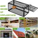 Qualirey 2 Pcs Humane Rat Trap Chipmunk Rodent Mouse Squirrel Trap 9.1 x 4.5 x 4.5 Inches Live Animal Mouse Voles Hamsters Live Cage Rat Cage for Mice Easy to Catch and Release (Black)