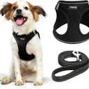 YIMEIS Dog Harness and Leash Set, No Pull Soft Mesh Pet Harness, Reflective Adjustable Puppy Vest for Small Dogs, Cats (M, Black) fit Small (Medium (Pack of 1))