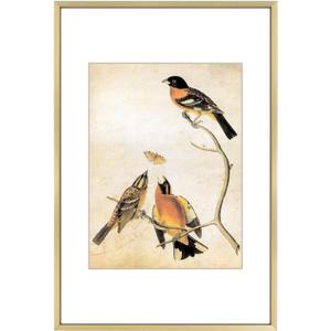 8x12 Picture Frame, Brass Metal Photo Frames with HD Glass, Fits 6x8 with Mat or 8 x 12 without Mat, Display for Wall and Table, 1 Pack