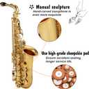 Gold E Flat Alto Saxophone Brass Engraved Eb E-Flat Natural White Shell Button Wind Instrument with Case Belt Brush