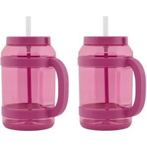 Reduce WaterDay, Spill-Proof Silicone Straws, 80oz Capacity, 2-pack (Pink)