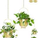 AceList Boho Gold Metal Hanging Planters, Set of 2 with Hooks & Chains - Versatile Wall & Ceiling Window Hanging Planters for Indoor/Outdoor Dcor (Modern 4.3 Inch)