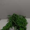 Christmas Garland Norfolk Pine Garland Real Touch Artificial Greenery Garland for Mantle Fireplace Table Indoor Outdoor Decor 6FT (6 ft (1 Pack- Young ))