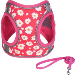 Step in Dog Harness No Pull Flower Adjustable Soft Mesh Padded Reflective Pet Vest Harness and Leash Set for  Dogs (S(neck:10.5"-12",chest:13.5"-16"), Rose red)