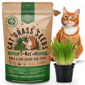 Cat Grass Seeds Mix - 5,200 Non-GMO Heirloom Seeds for Cats & Pets, 4 oz Pack for Growing Fresh Barley, Oat, Rye & Wheat Grass Seeds for Planting, Indoor Plants for Pets, Hairball Remedy for Cats