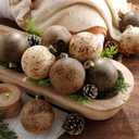 PullCrease 12 Pcs Neutral Christmas Textured Rusty Balls Ornaments 3.15'' Rustic Hanging Shatterproof Electroplated Plastic Ball Christmas Tree Ornaments for Xmas Home Farmhouse Decor(Multicolor)